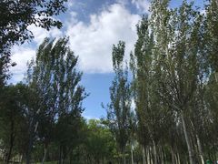 -东郊湿地公园