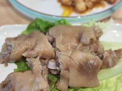 -丁老爷子苏香圆
