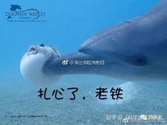 -19号私房菜(云南路店)