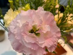 -狮拾久·现代新加坡料理(壹方城店)