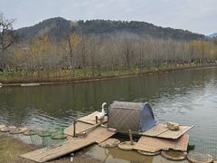 -千年银杏谷文化旅游区