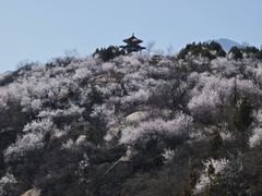 -白水寺森林公园