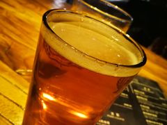 -40+精酿啤酒俱乐部(国投财富广场店)