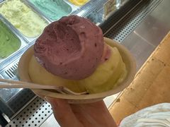 -极拉图·现制冰淇淋(大卫城店)