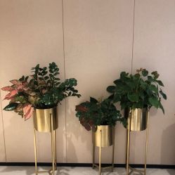 -广东韩妃整形外科医院