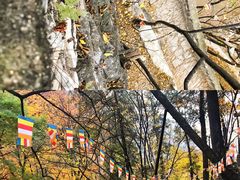 -北京上方山国家森林公园