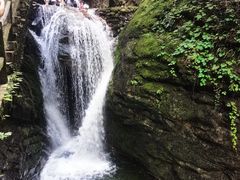 -牛背梁国家森林公园