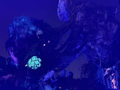 -奥兰多迪士尼动物王国乐园