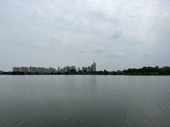 -鹤之洲湿地公园