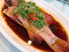 -新雅粤菜馆(南京东路店)