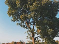 -山明水秀大饭店