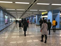 -大龙山(地铁站)