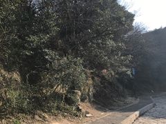 -普陀山风景区-佛顶山