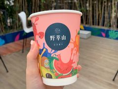 -野萃山·潮汕厚果汁(十亩地店)