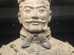 -秦始皇帝陵博物院(兵马俑)