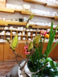 点击看大图 -今日陶艺(富力广场店)