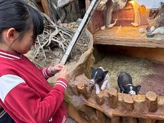 -长鹿旅游休博园
