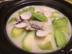 胜瓜鱼滑浸白贝-顺意·顺德家乡菜(国际人才大厦店)