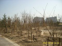 -保定东湖公园(莲池区)