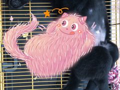 -翊宠yipet猫狗购宠庄园犬舍•猫舍