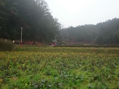 -韶山毛泽东同志故居