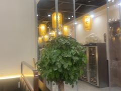 -九寨沟石锅鱼(沣峪口二十年店)