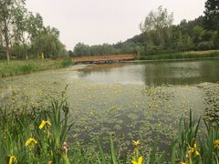 -东郊湿地公园