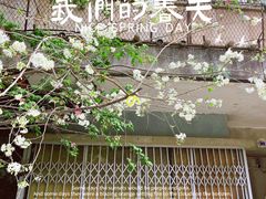 -卷耳咖啡