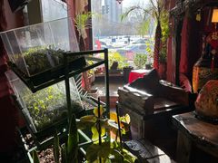 -大匠工房古船木艺术餐厅·猪肚鸡专门店(长白仙岛店)