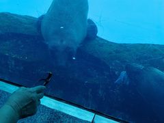 -上海海昌海洋公园-冰山北极馆