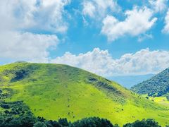 -大姆山草场