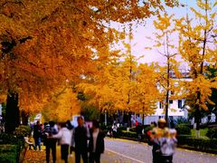 -四川大学(望江校区)