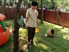 -西霞口神雕山野生动物世界