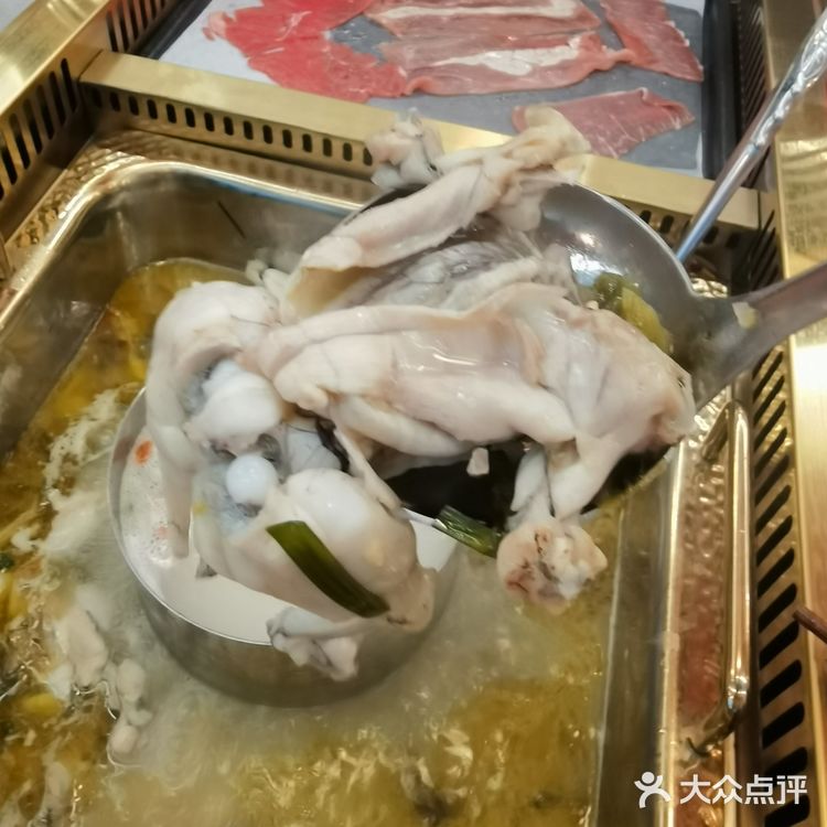 烈日炎炎下的牛蛙自由,宽尺巷鱼蛙自助