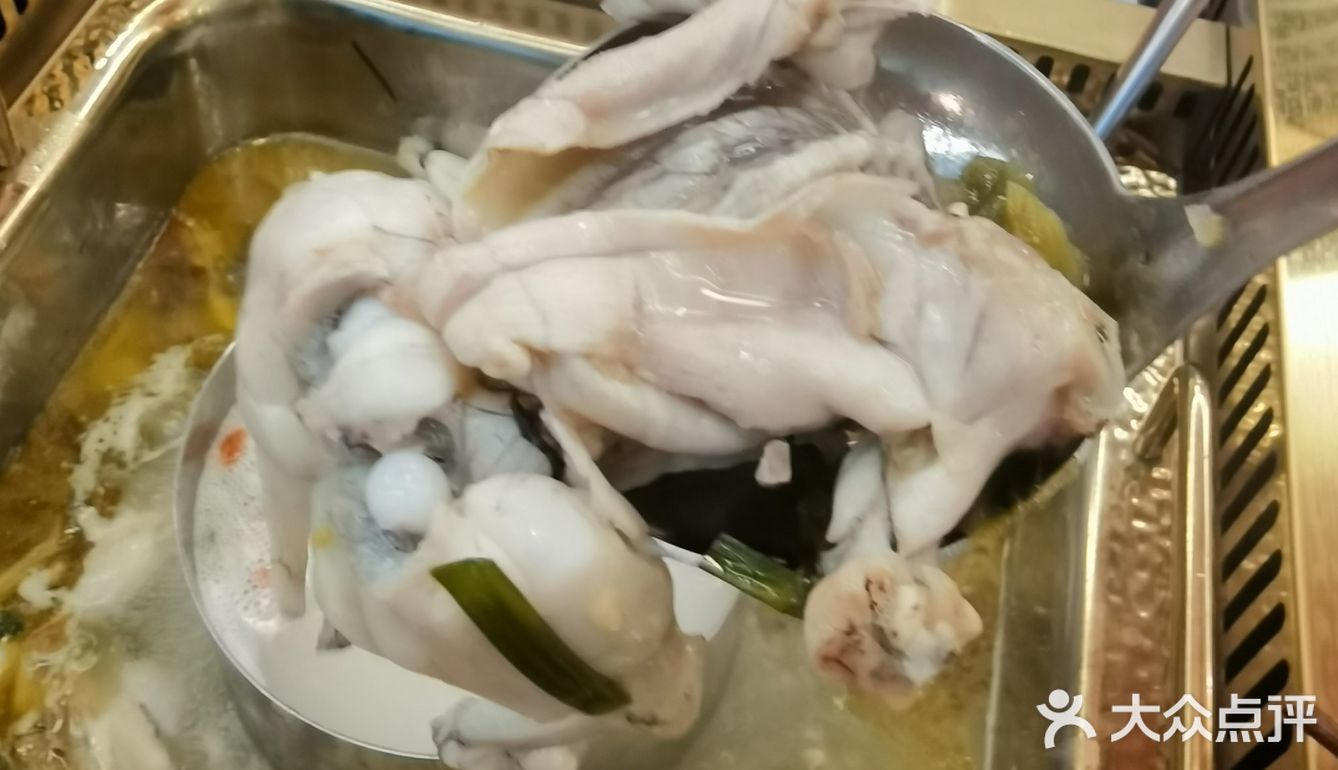 烈日炎炎下的牛蛙自由，宽尺巷鱼蛙自助