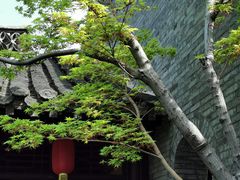 -何园