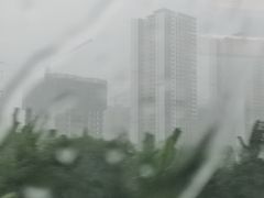 -鸿顺老铁锅美蛙鱼府(解放碑店)