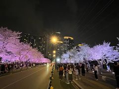 -西北湖绿化广场