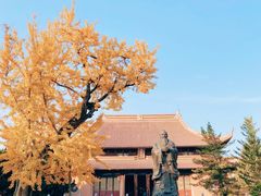 -苏州文庙(姑苏区)