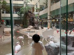 -白虎自助餐厅·真老虎·景观自助餐厅(广州长隆酒店)