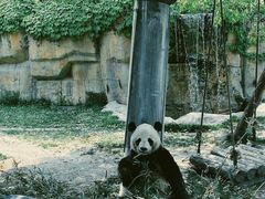-上海野生动物园