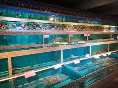 水产区-阿一会馆