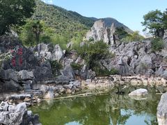 -千岛湖石林