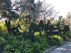 -墨尔本皇家植物园