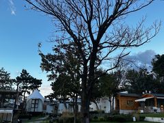 -云禾壹海景庄园餐厅
