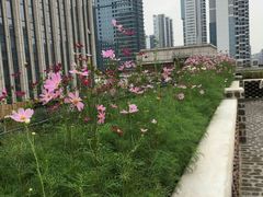 -瓦库茶馆17号(海汇港店)