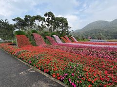 -广州市石门国家森林公园