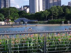 -文华公园(禅城区)