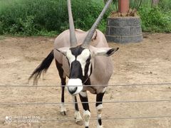 -大连森林动物园