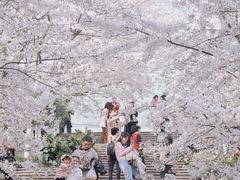 -南山植物园
